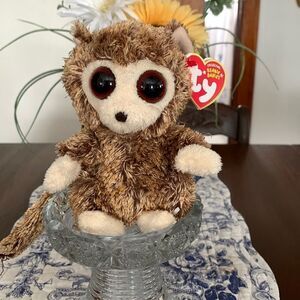 Peppers birthday February 1, 2009